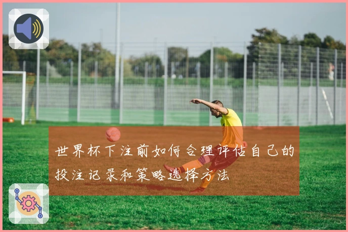 世界杯下注前如何合理评估自己的投注记录和策略选择方法