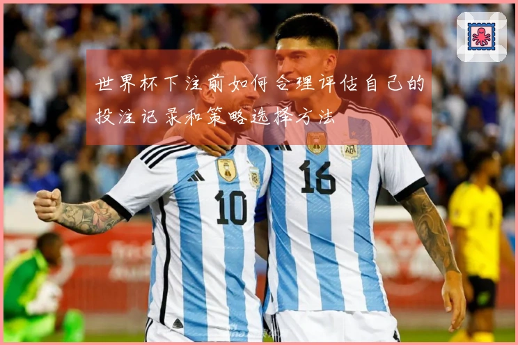 世界杯下注前如何合理评估自己的投注记录和策略选择方法